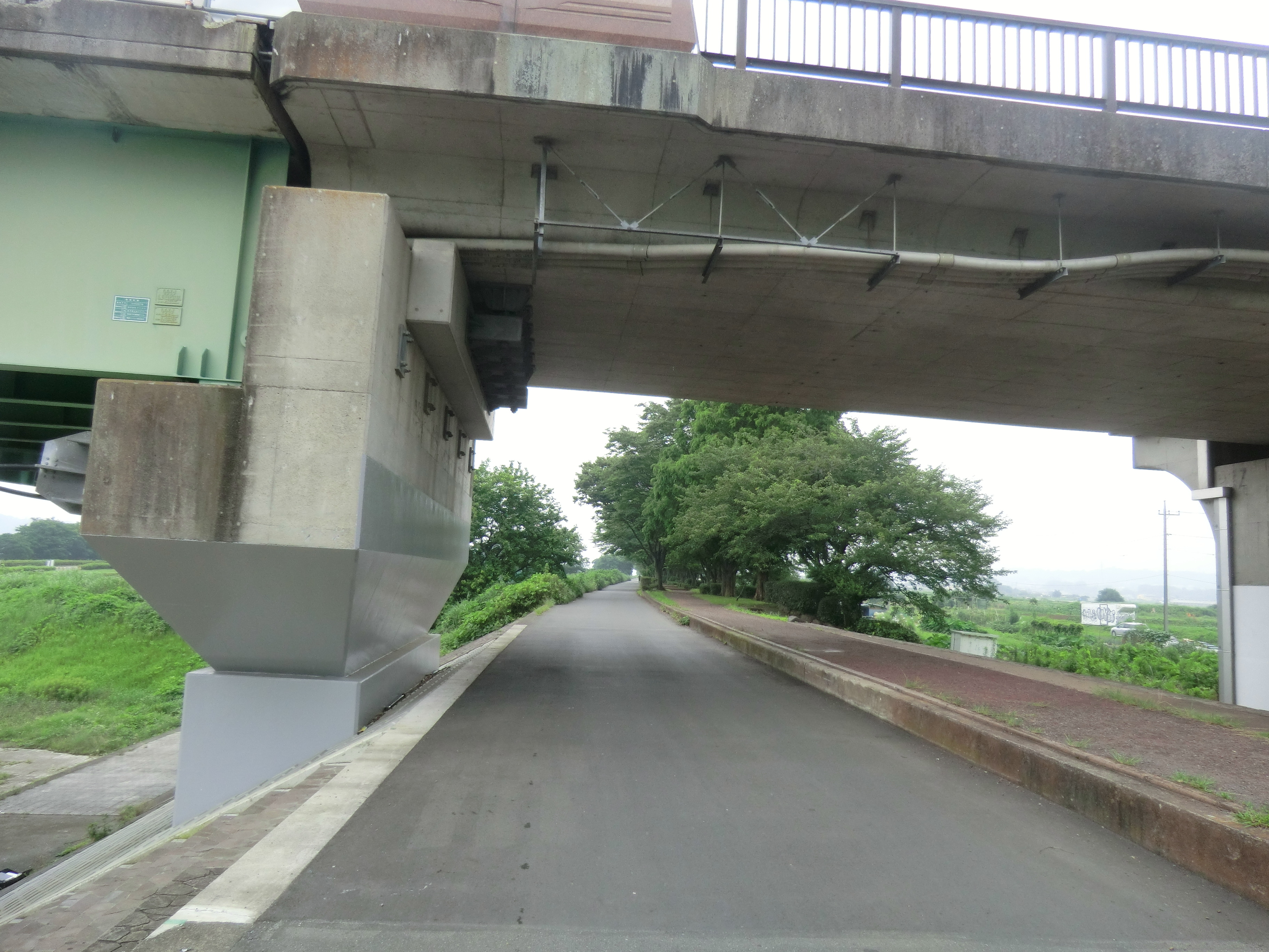 20190721相模川サイクリング（小倉橋・相模川右岸・新相模大橋(国道246 