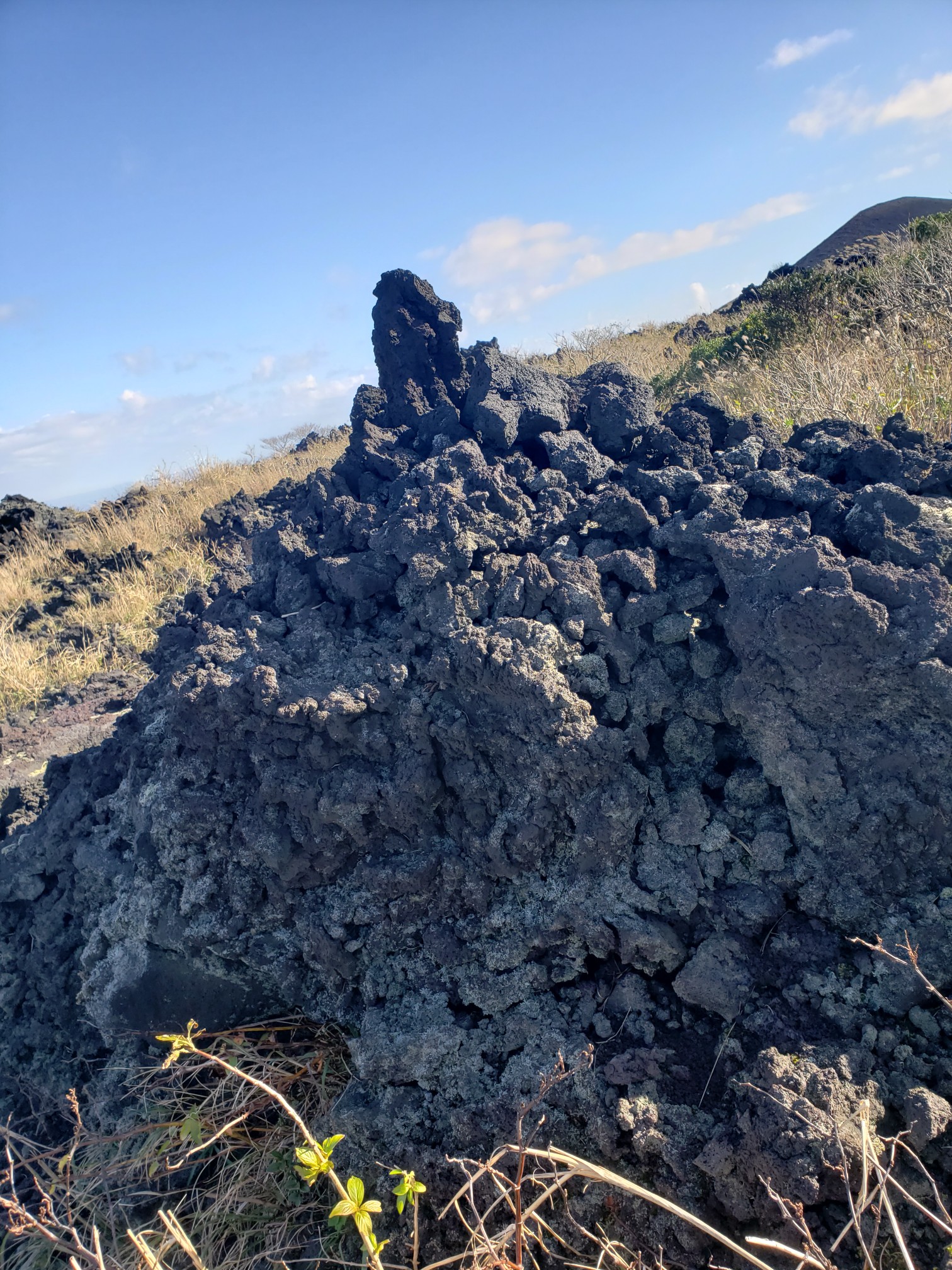 ゴジラここに眠る 伊豆大島 三原山 Natoさんの伊豆大島 三原山の活動日記 Yamap ヤマップ
