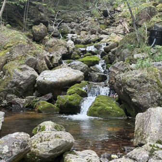 沢の水が冷たくて気持ちよかったです