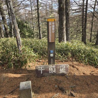 千頭星山。眺望はないですが山頂は広いです