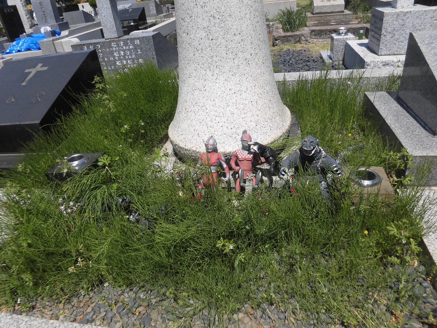 円谷監督の墓 カトリック教会 Tadamacさんの府中市 東京都 の活動日記 Yamap ヤマップ