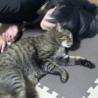 とと