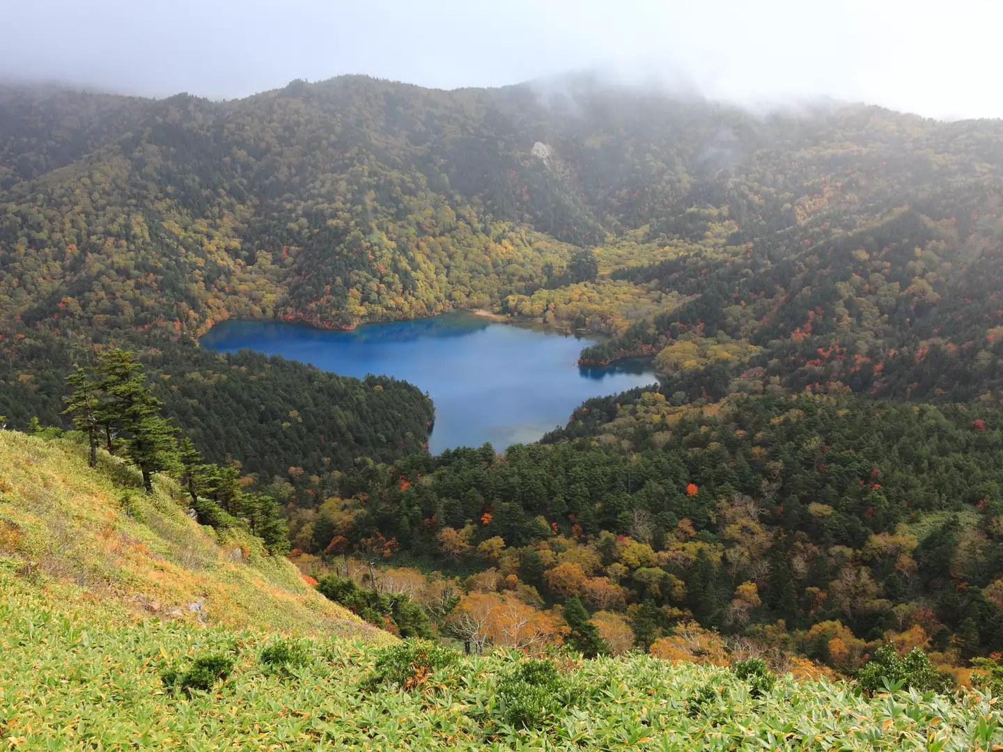 解き放たれて 志賀山紅葉ハイキング 桜餅さんの横手山 志賀山 赤石山の活動データ Yamap ヤマップ