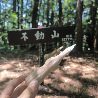 登山好きの中学生