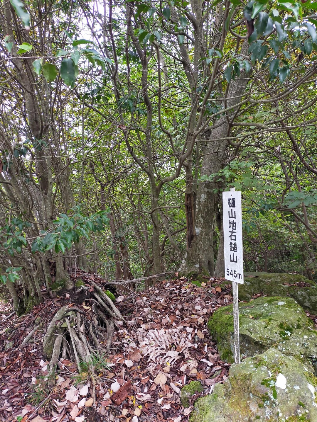 堀割峠から樋山地石鎚山へ / まつさんの吉野川市の活動データ YAMAP / ヤマップ