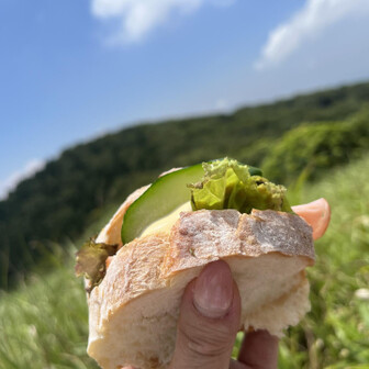 ここでランチ