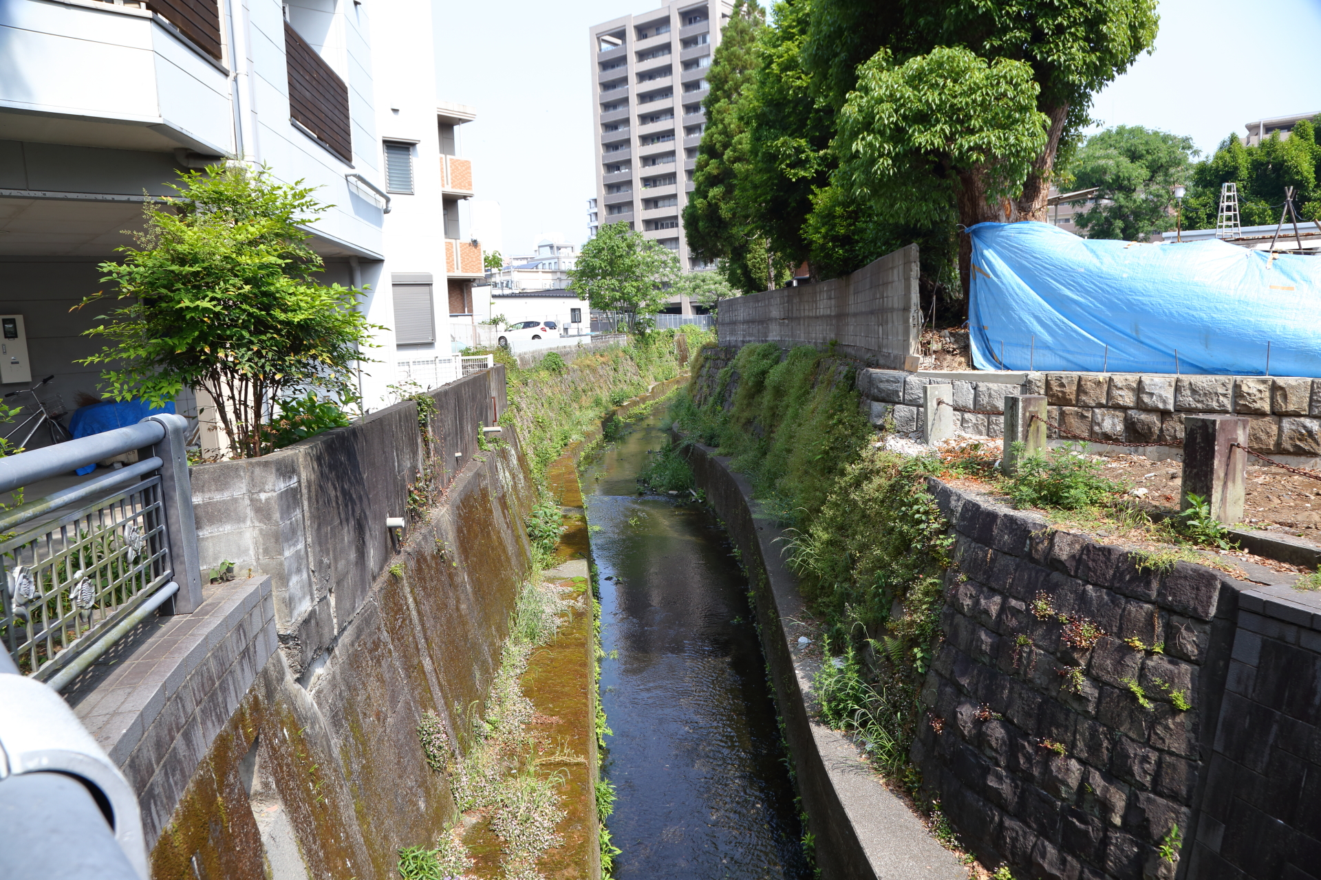 自宅から藻器堀川散策下 05 06 Yavさんの熊本市 中央エリア 北エリア の活動データ Yamap ヤマップ