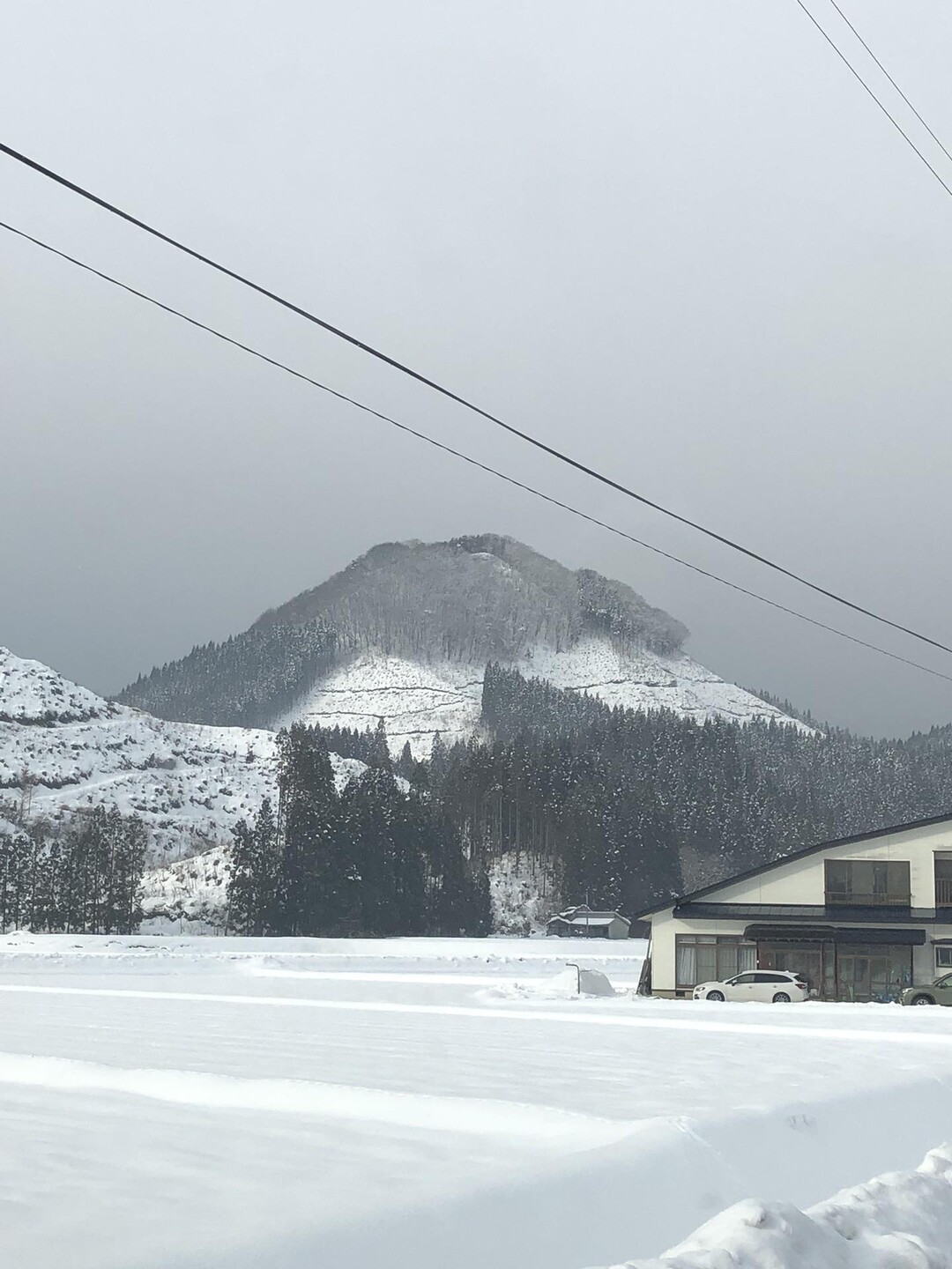 2023年元旦登山 茂谷山 / よっしーさんのウォーキングの活動データ YAMAP / ヤマップ