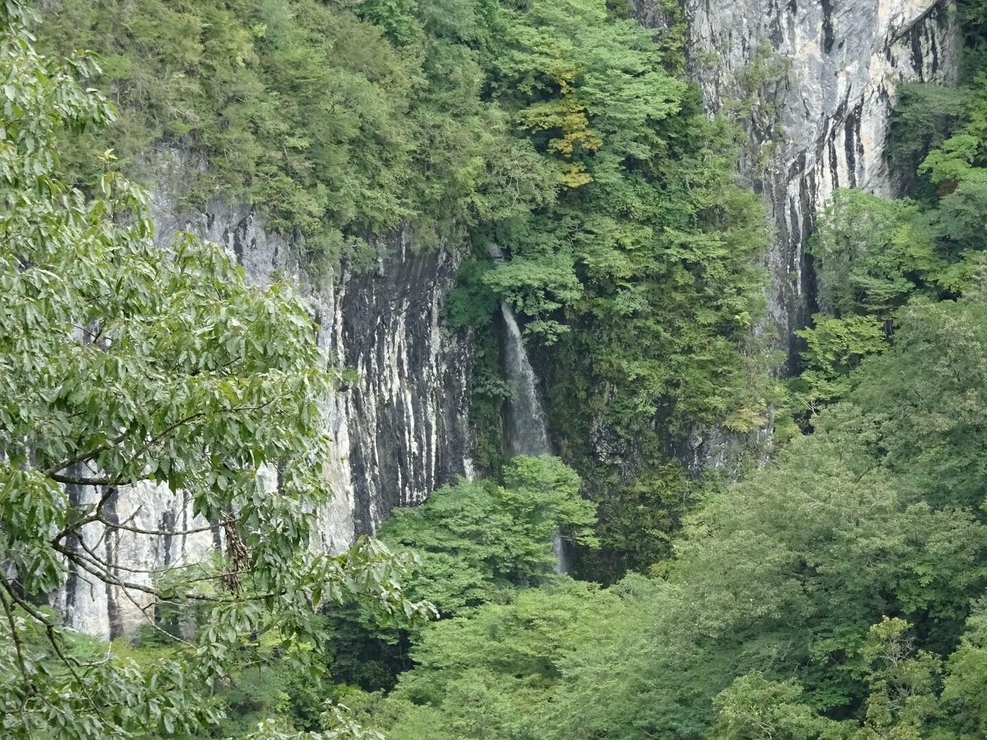 帝釈峡20210821 / やっくるさんの帝釈峡の活動データ YAMAP / ヤマップ
