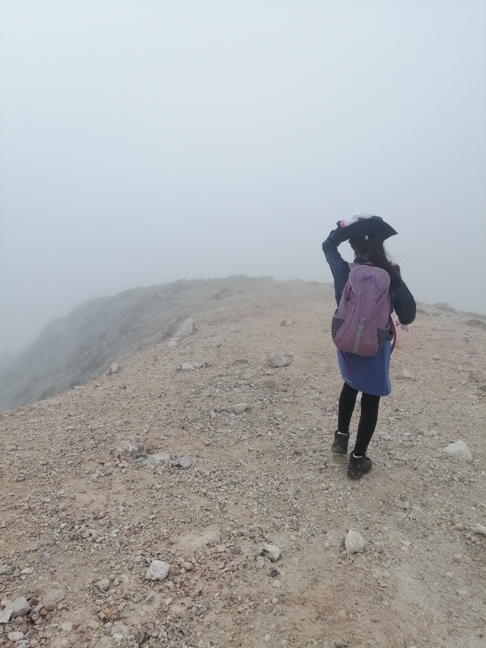 子連れ登山 イワオヌプリ 硫黄山 イワオヌプリ 東峰 にゃんこにゃんこさんのニセコアンヌプリ イワオヌプリ チセヌプリの活動データ Yamap ヤマップ