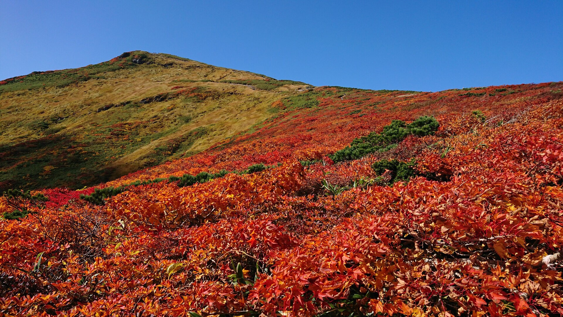 20190930_紅葉_栗駒山・東栗駒山