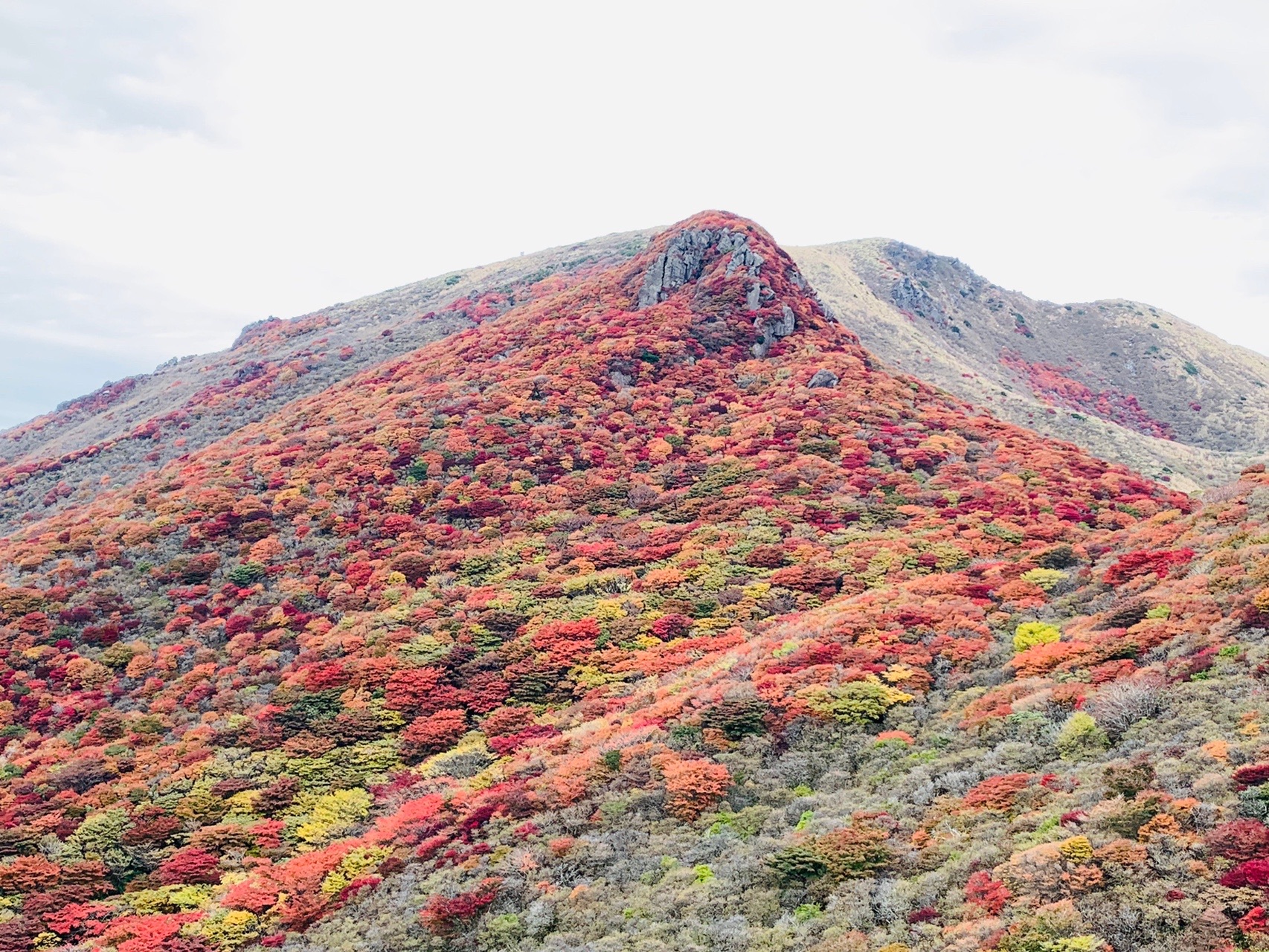 紅葉２０２０沓掛山 久住山 中岳 天狗ヶ城 Marron٩ ๑ さんの九重山 久住山 大船山 星生山の活動データ Yamap ヤマップ