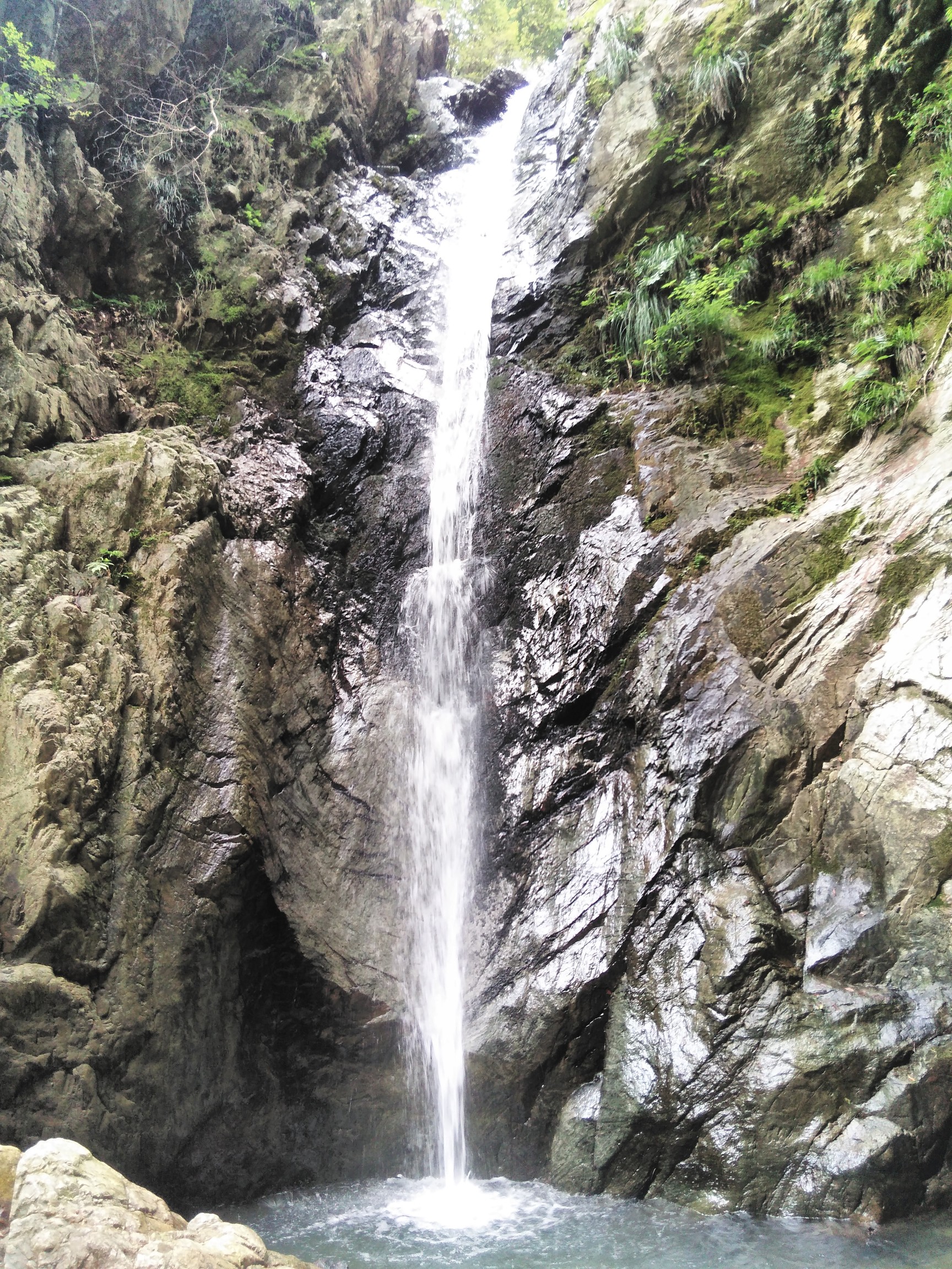 独鈷の滝が見れる五台山へ 山ぐっさん 山口正二 さんの五台山 親不知 城山 猪ノ口山 の活動日記 Yamap ヤマップ