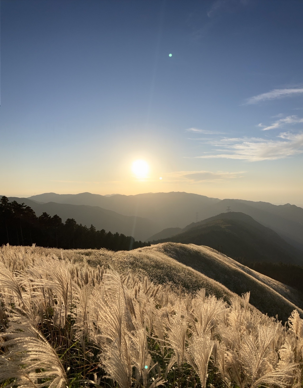 岩湧山 夕焼けハイク Junさんの岩湧山 一徳防山 三石山の活動データ Yamap ヤマップ