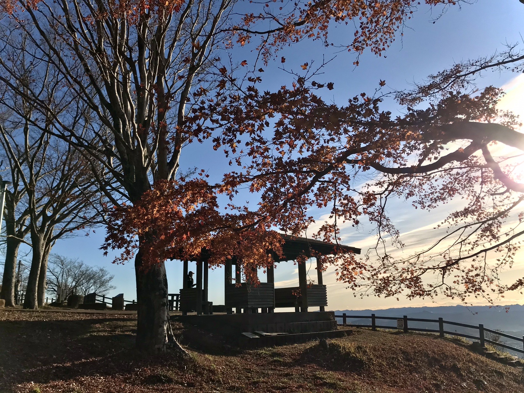 南房総低山巡り 雲海チャレンジ鹿野山 九十九谷 12 とっくさんの鹿野山の活動日記 Yamap ヤマップ