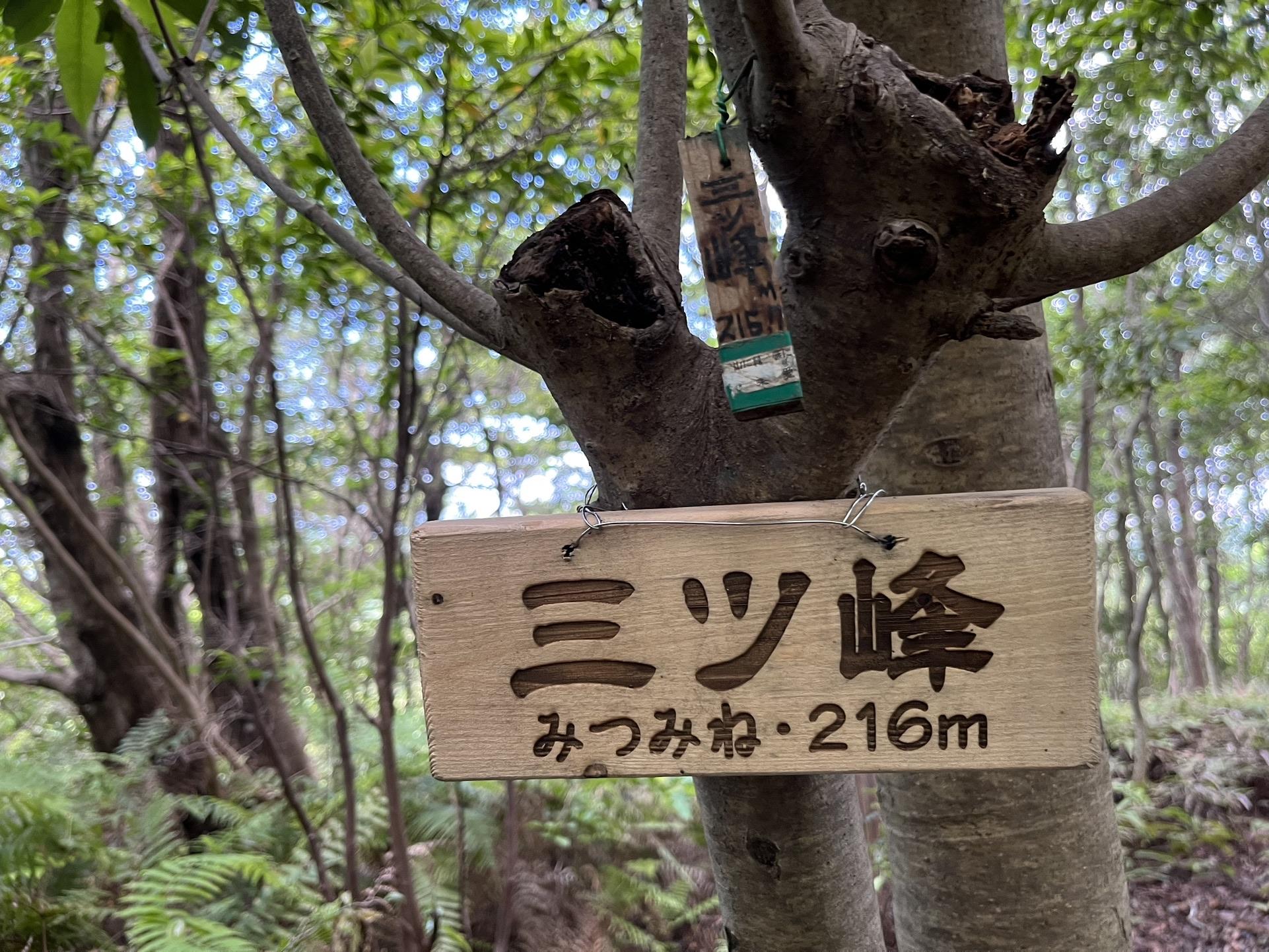 三ツ峰 / うえともさんの遠州三山の活動データ YAMAP / ヤマップ