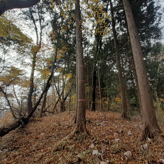 逆沢の頭
眺望ございません