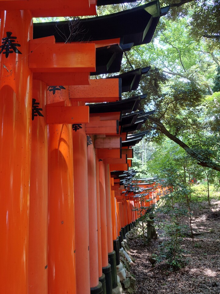 京阪電車 伏見桃山駅近鉄 桃山御陵前駅大岩山京都一周 縦走コースの地図・登山ルート・登山口情報 YAMAP / ヤマップ