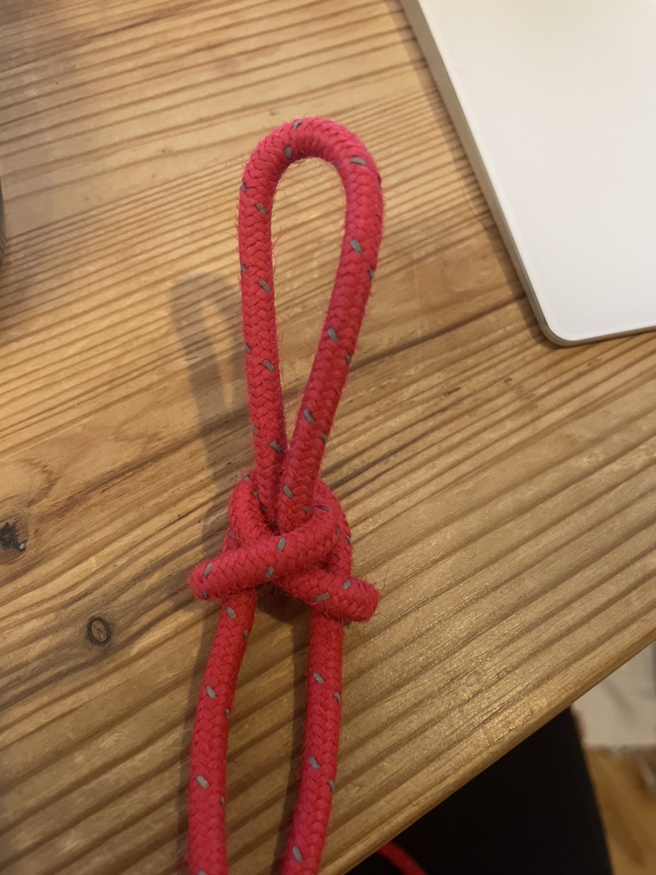 ロープワーク練習継続中 エバンスノット たいたんさんのモーメント Yamap ヤマップ