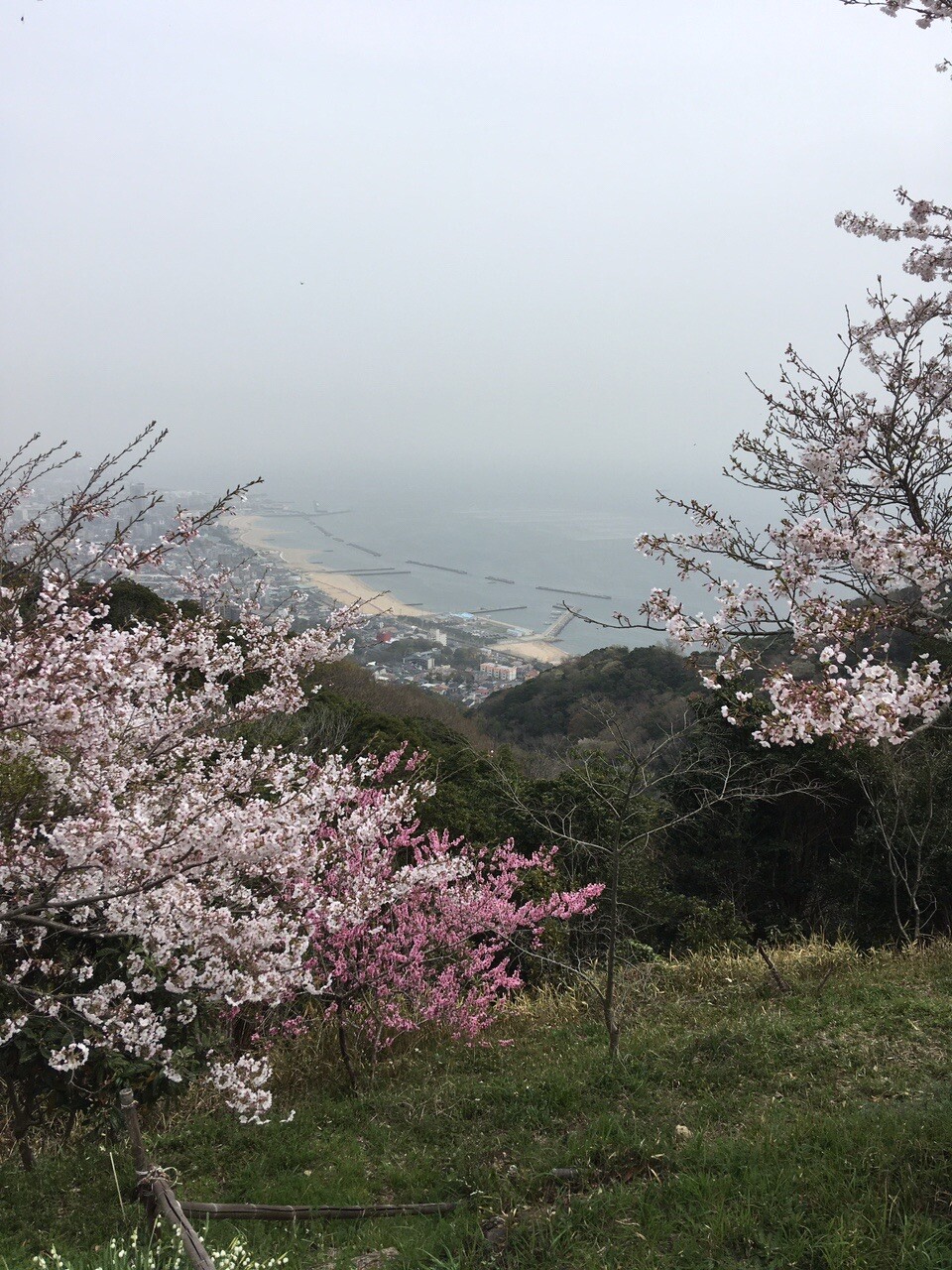 須磨浦公園から須磨離宮公園まで たろけんさんの六甲山 長峰山 摩耶山の活動データ Yamap ヤマップ