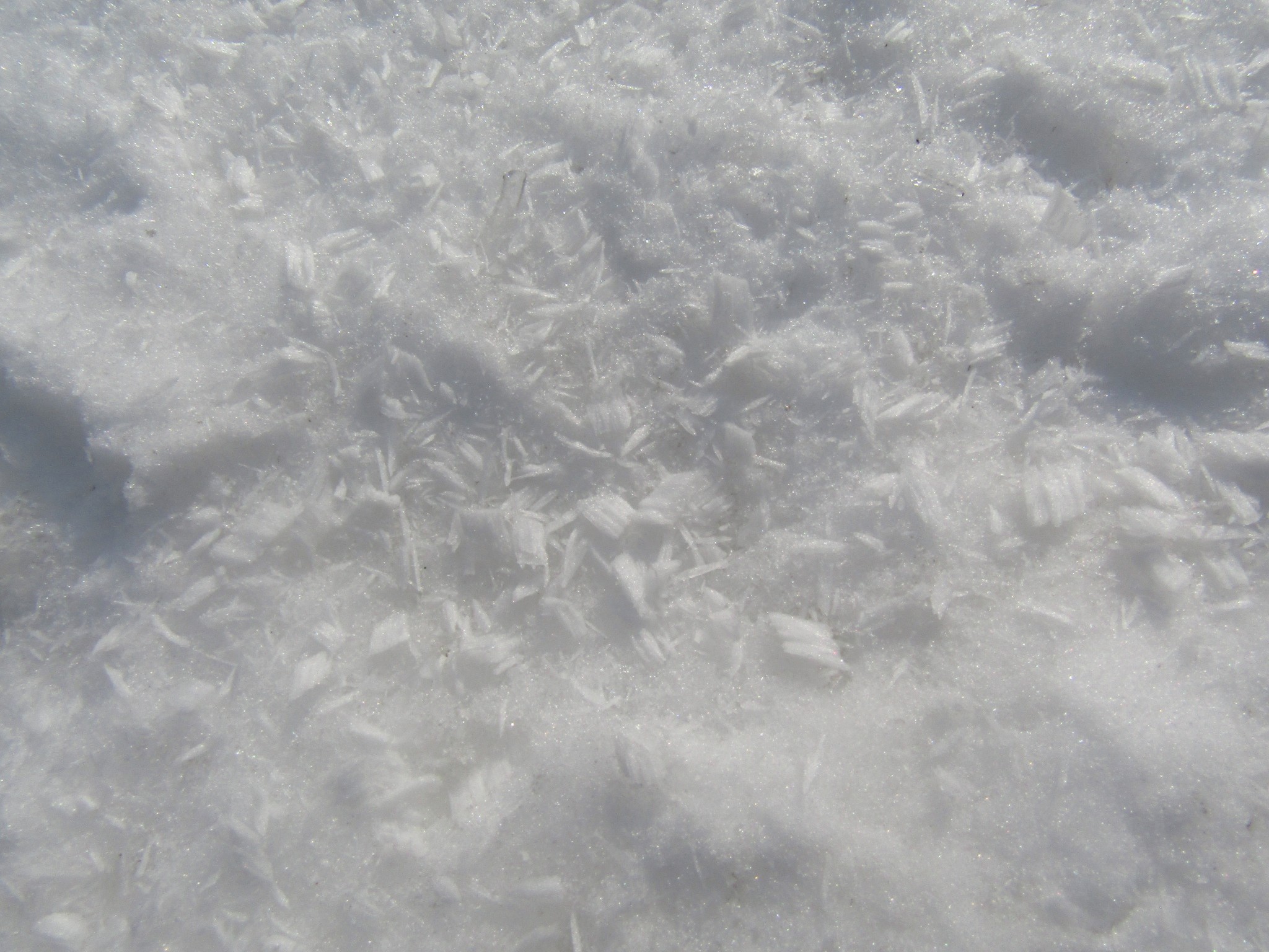 横津岳から ビーム発射 カモネギさんの横津岳 袴腰岳 袴腰山 の活動日記 Yamap ヤマップ