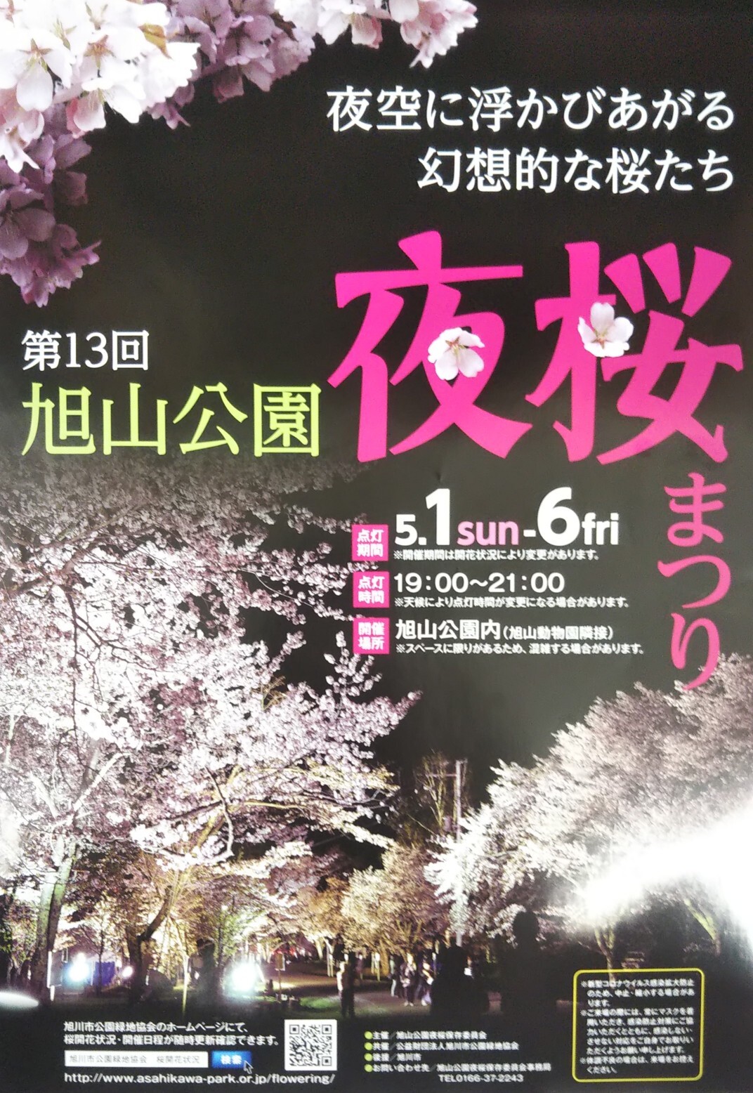もうすぐ北海道も桜の季節 旭山には ぱぱかめさんのモーメント Yamap ヤマップ