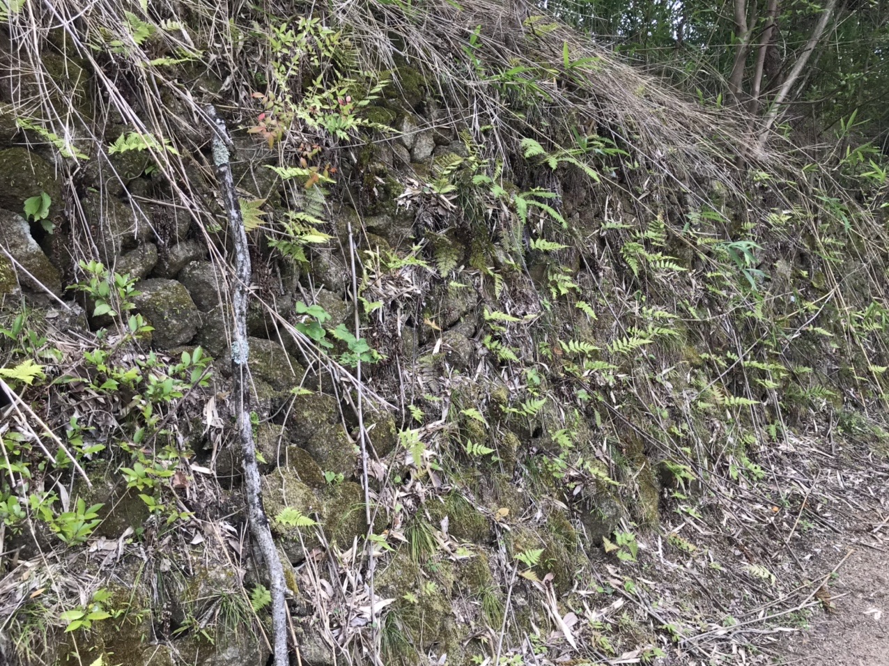 生駒山・神津嶽・大原山 石垣。道中、ここだけあるんですよね。古そう。