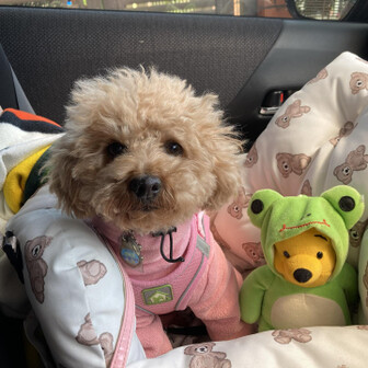 小牧山 今日も無事カエル🐸
相棒🐶も無事カエル🐸
お疲れさまでした😌