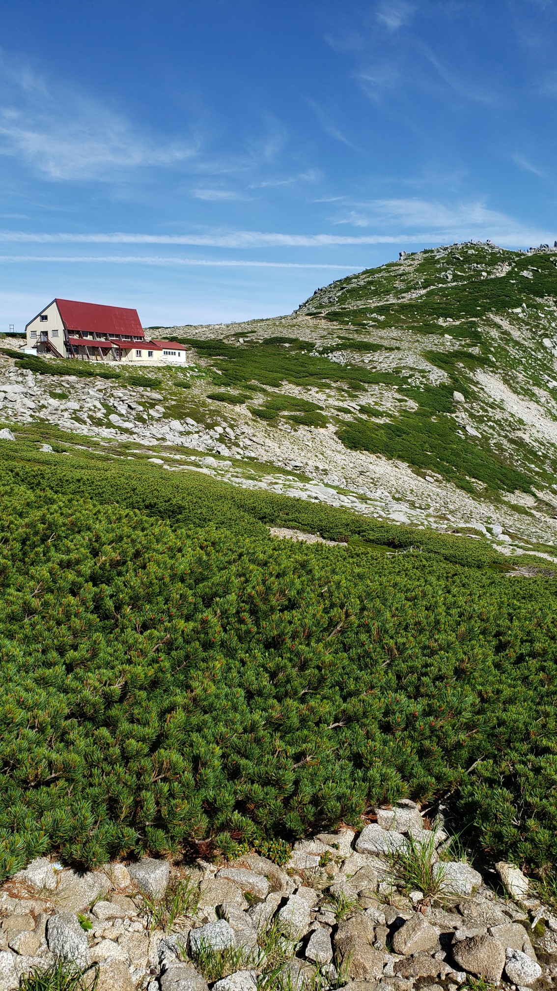 中岳 木曽駒ヶ岳 宝剣岳で雷鳥 ホシガラス イワヒバリ メボソムシクイにめっちゃ遭遇 ビビさんの木曽駒ヶ岳 空木岳 越百山の活動日記 Yamap ヤマップ
