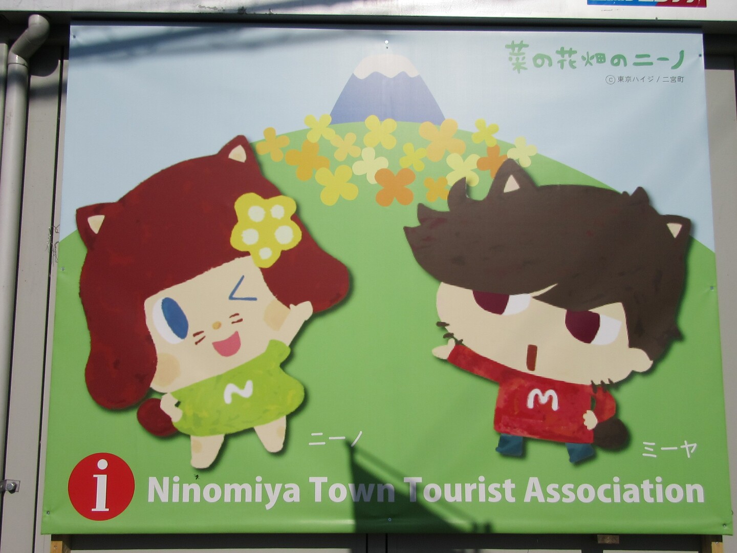 今週も来てしまいました吾妻山公園 よしたむさんの高麗山 湘南平 鷹取山の活動日記 Yamap ヤマップ