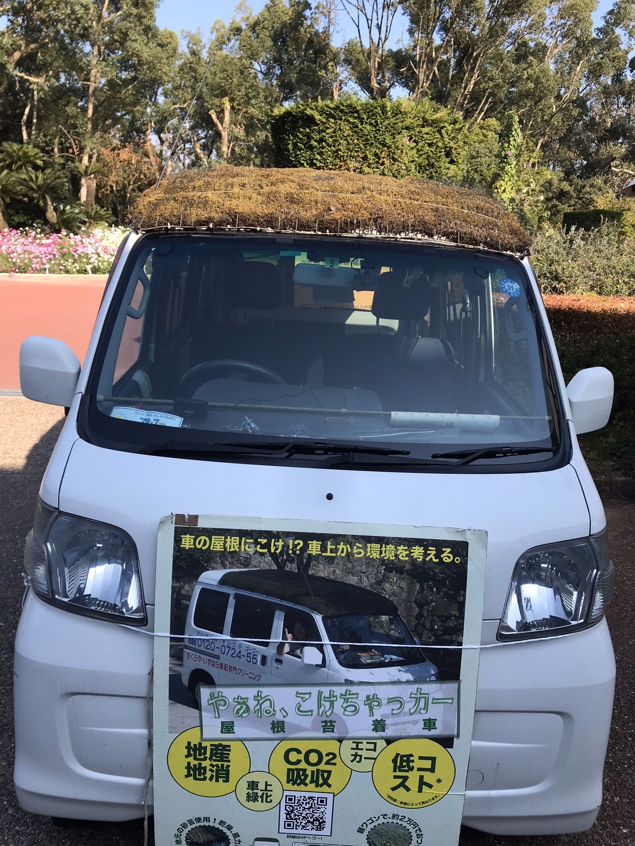 京都苔こけコケ展 錦市場 東福寺 18 11 10 11 Ohikioyaさんの京都市の活動日記 Yamap ヤマップ