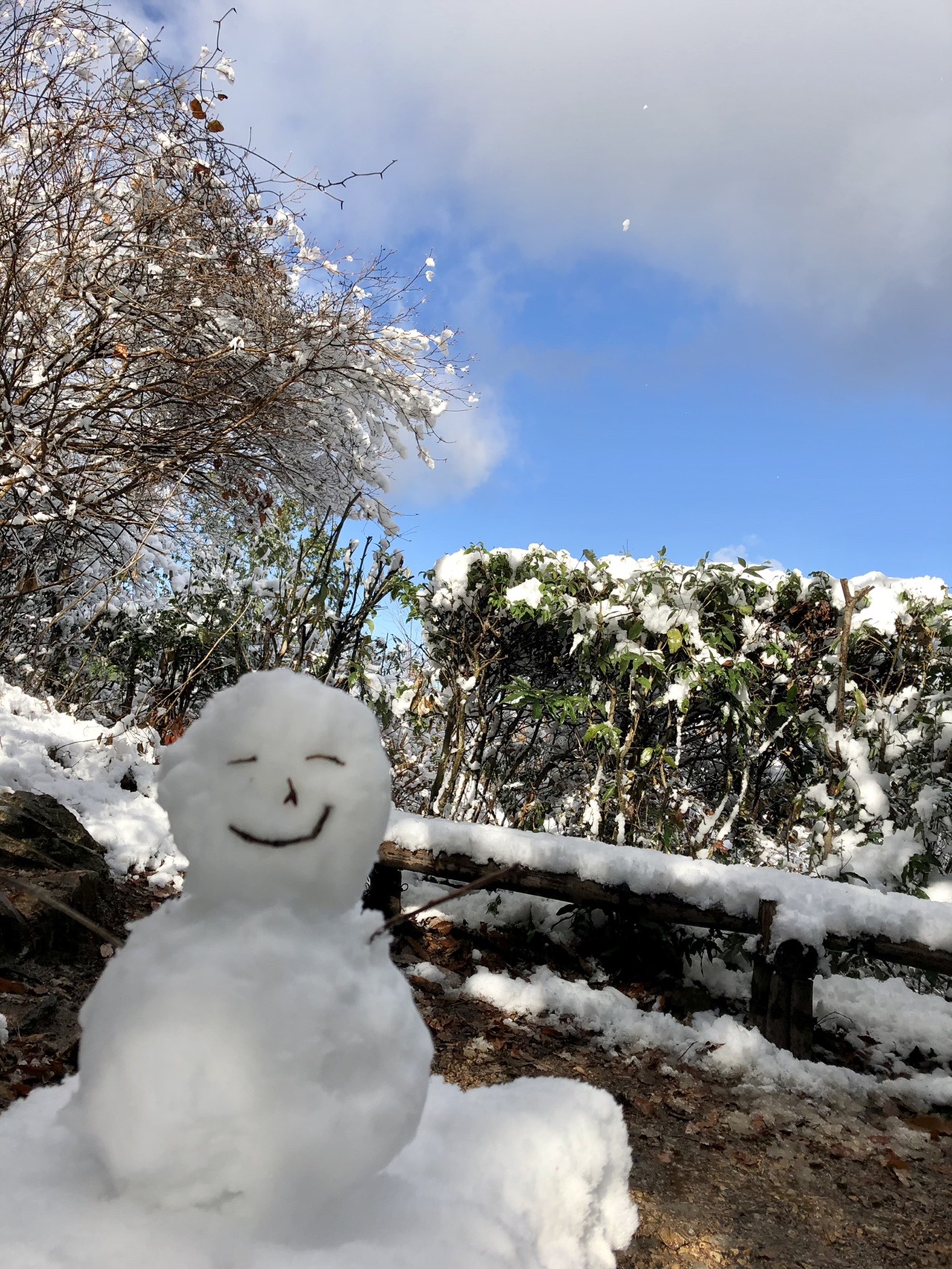 雪の大谷山 弥勒山 まめひろさんの春日井三山 弥勒山 大谷山 道樹山の活動データ Yamap ヤマップ
