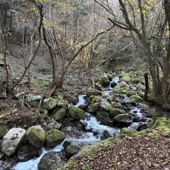 川沿いの道が危なかった😅