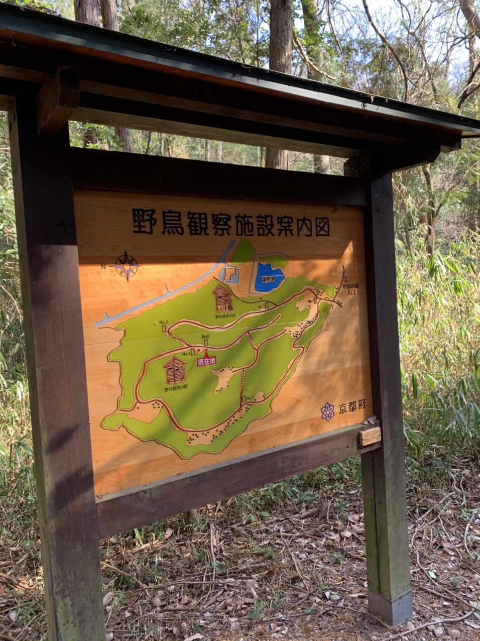 京都府立山城総合運動公園(太陽が丘) お散歩 / ぽっきーさんのハイキングの活動データ YAMAP / ヤマップ