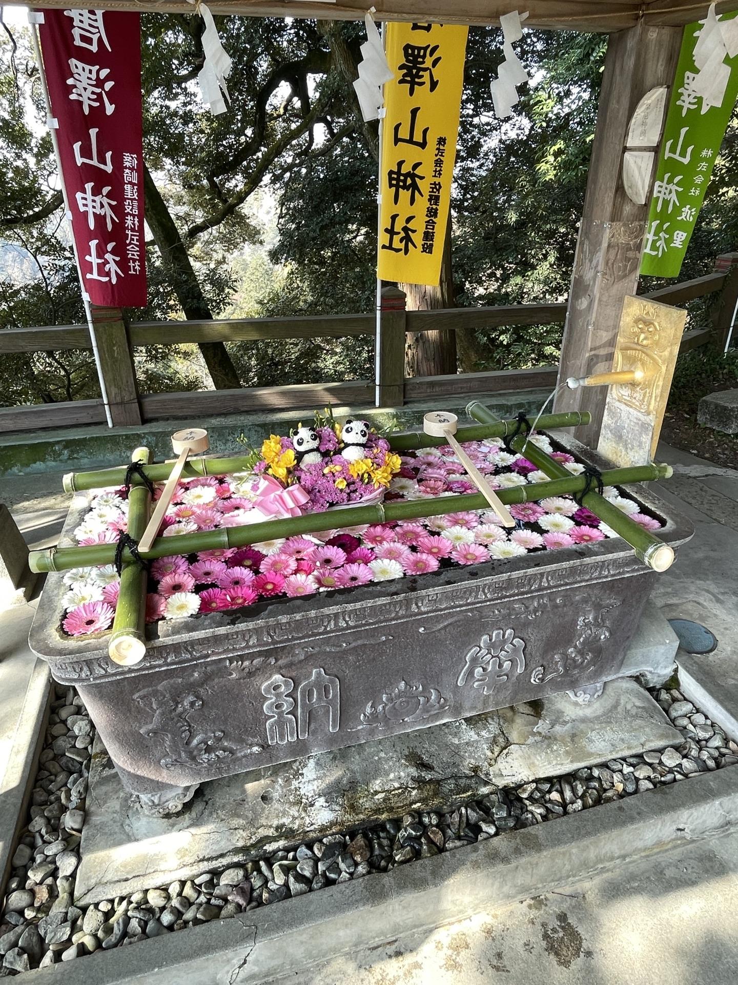 山いっぱい 唐沢山から諏訪岳へ / とだなさんさんの太平山・晃石山・唐沢山の活動日記 | YAMAP / ヤマップ
