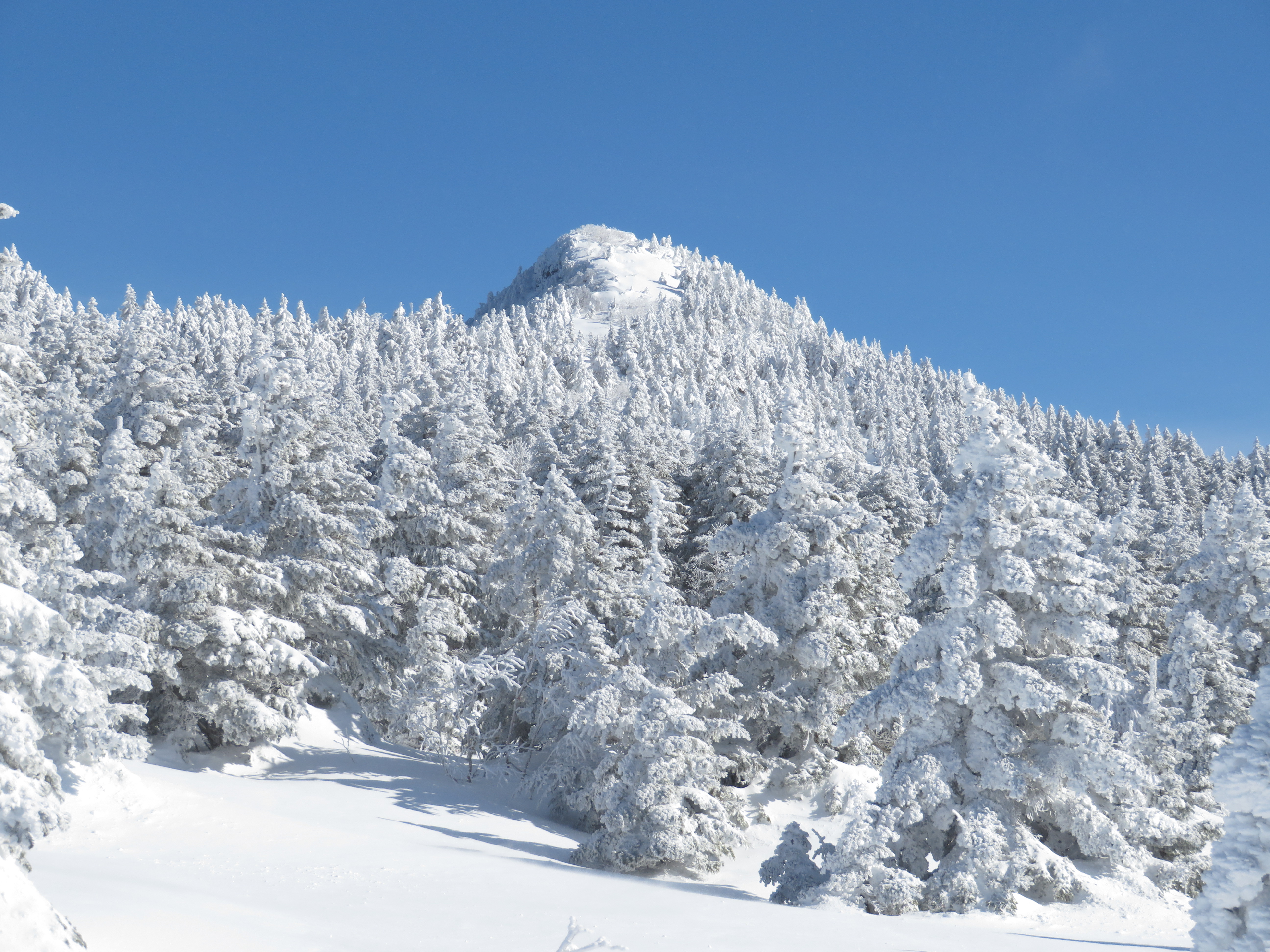 四阿山 ラッセルの果てにたどり着いた感動のモンスター群 Tu Sanさんの四阿山 根子岳の活動日記 Yamap ヤマップ