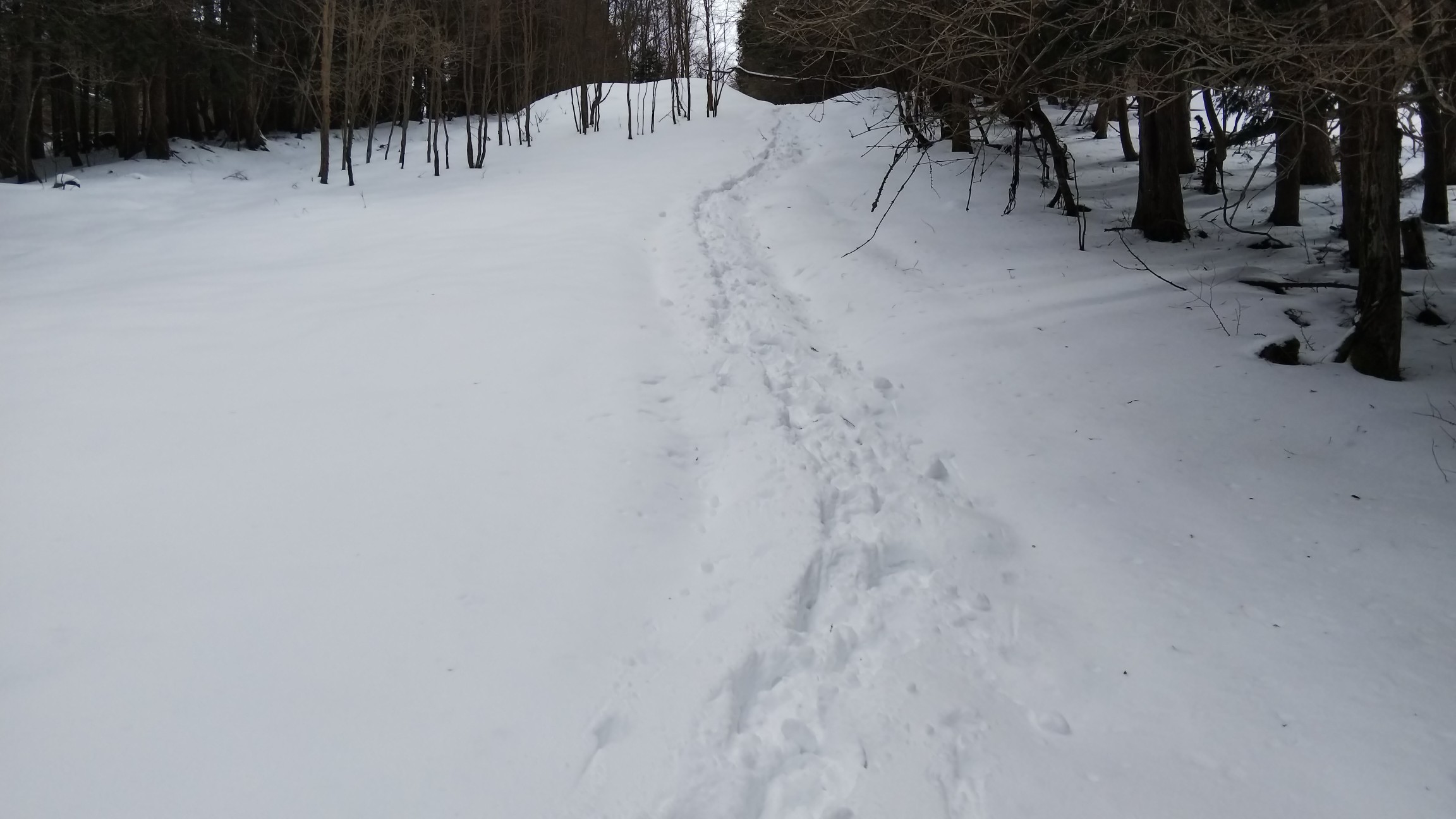 ノントレースだった斜面