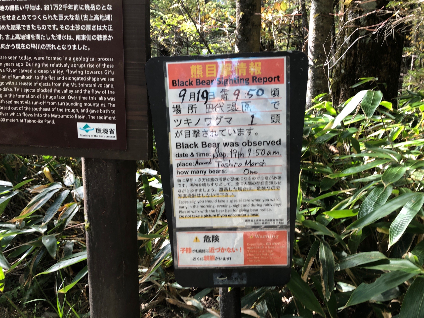 大正池→河童橋-2020-10-13 / ナカタニさんの槍ヶ岳・穂高岳・上高地の 