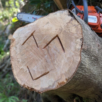 房総トレイル整備隊