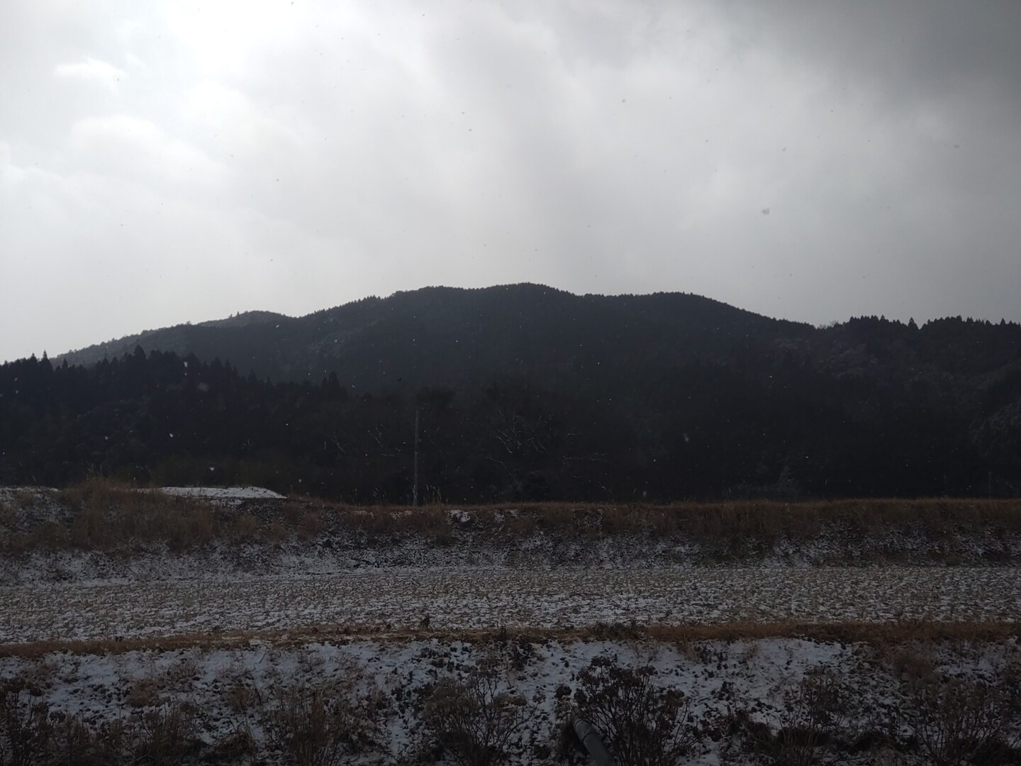 ヅーベット山 / 3301さんの脊振山・金山の活動データ YAMAP / ヤマップ