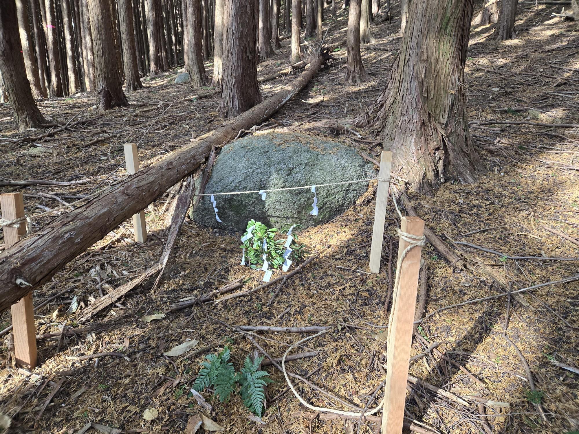 三輪山・巻向山・龍王山 こんな石があっちこっちに有った❗。