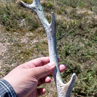 いつか知床半島攻略できたらいいなあ