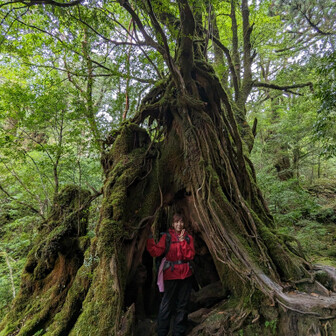 ナオミのページ YAMAP / ヤマップ