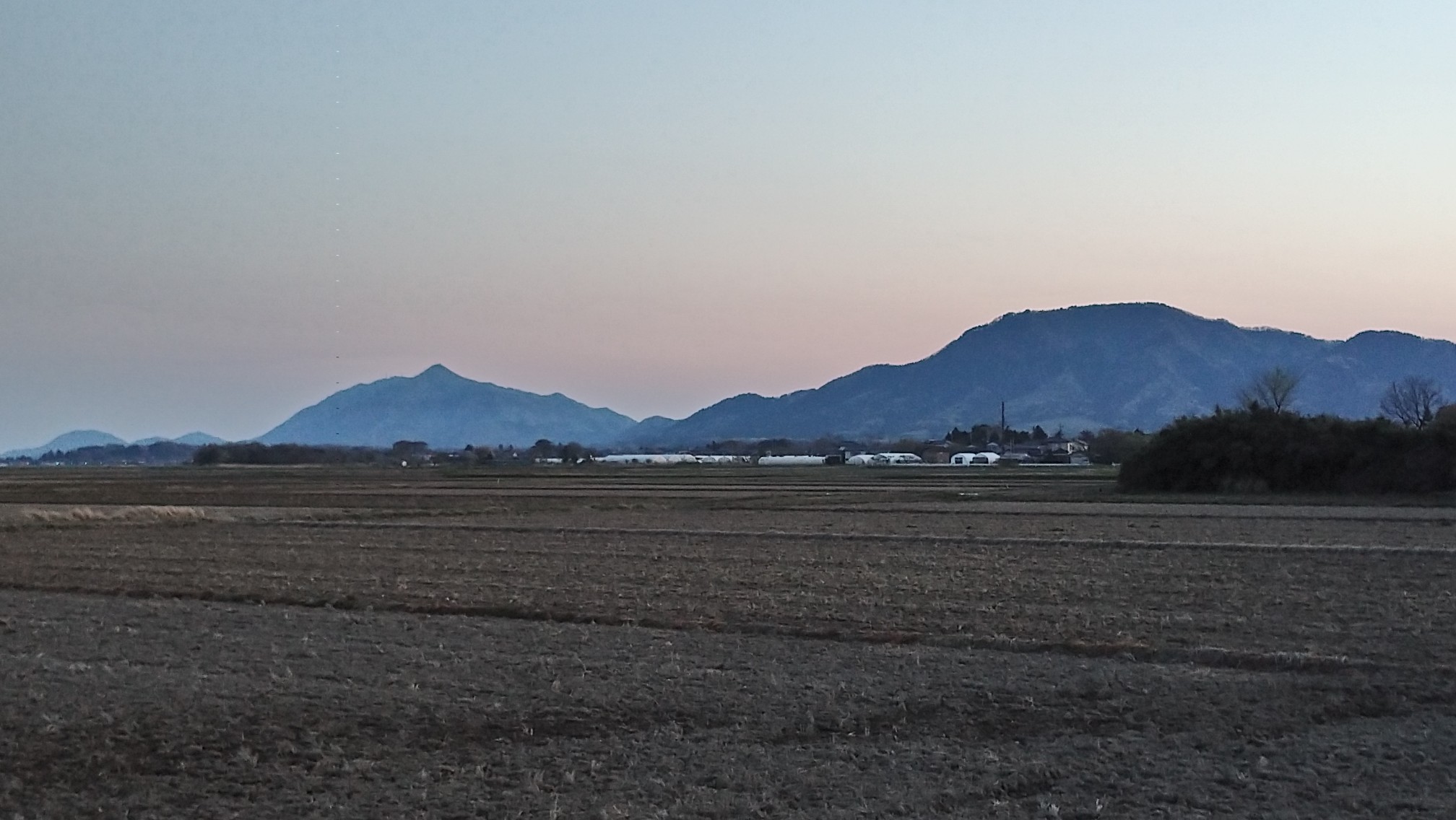 西蒲三山縦走はなかなかしんどい 国上 弥彦 角田 新潟県燕市 長岡市 弥彦村 新潟市 きらきらうえつ さんの弥彦山 多宝山 雨乞山の活動データ Yamap ヤマップ