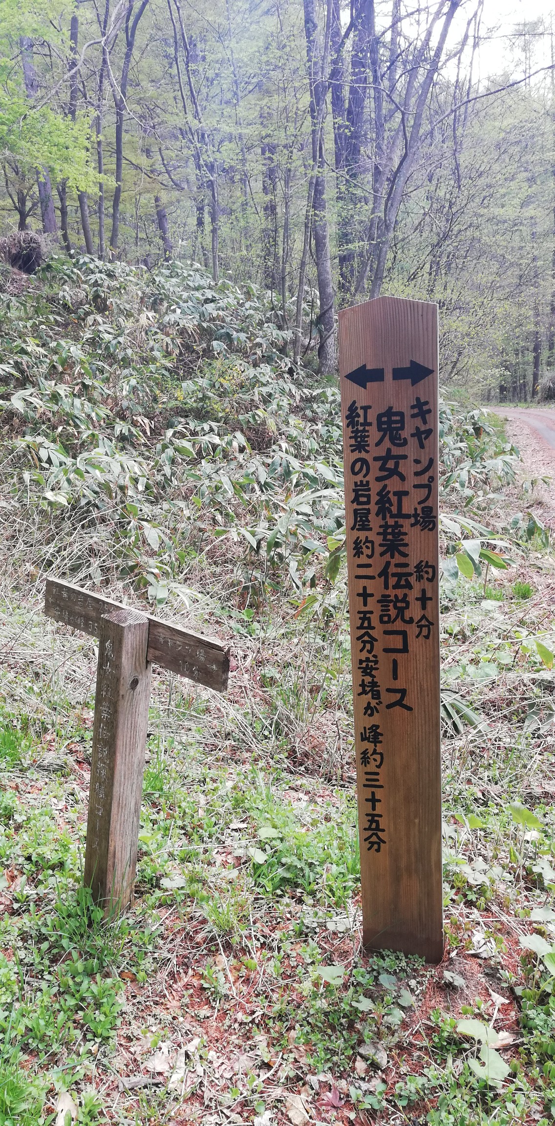鬼女紅葉伝説を訪ねて 砂鉢山 荒倉山 周回 じゅんさんの砂鉢山 虫倉山の活動日記 Yamap ヤマップ