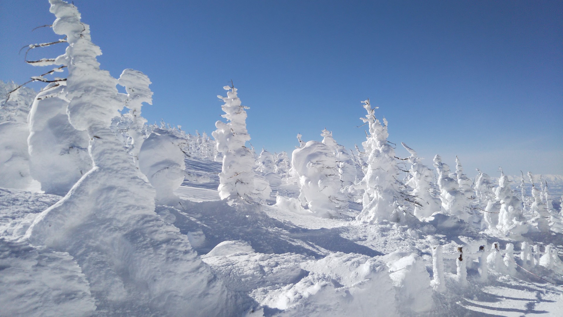 スノーモンスターに会いに 地蔵山 蔵王山 熊野岳 ミカンさんの蔵王山 雁戸山 不忘山の活動データ Yamap ヤマップ