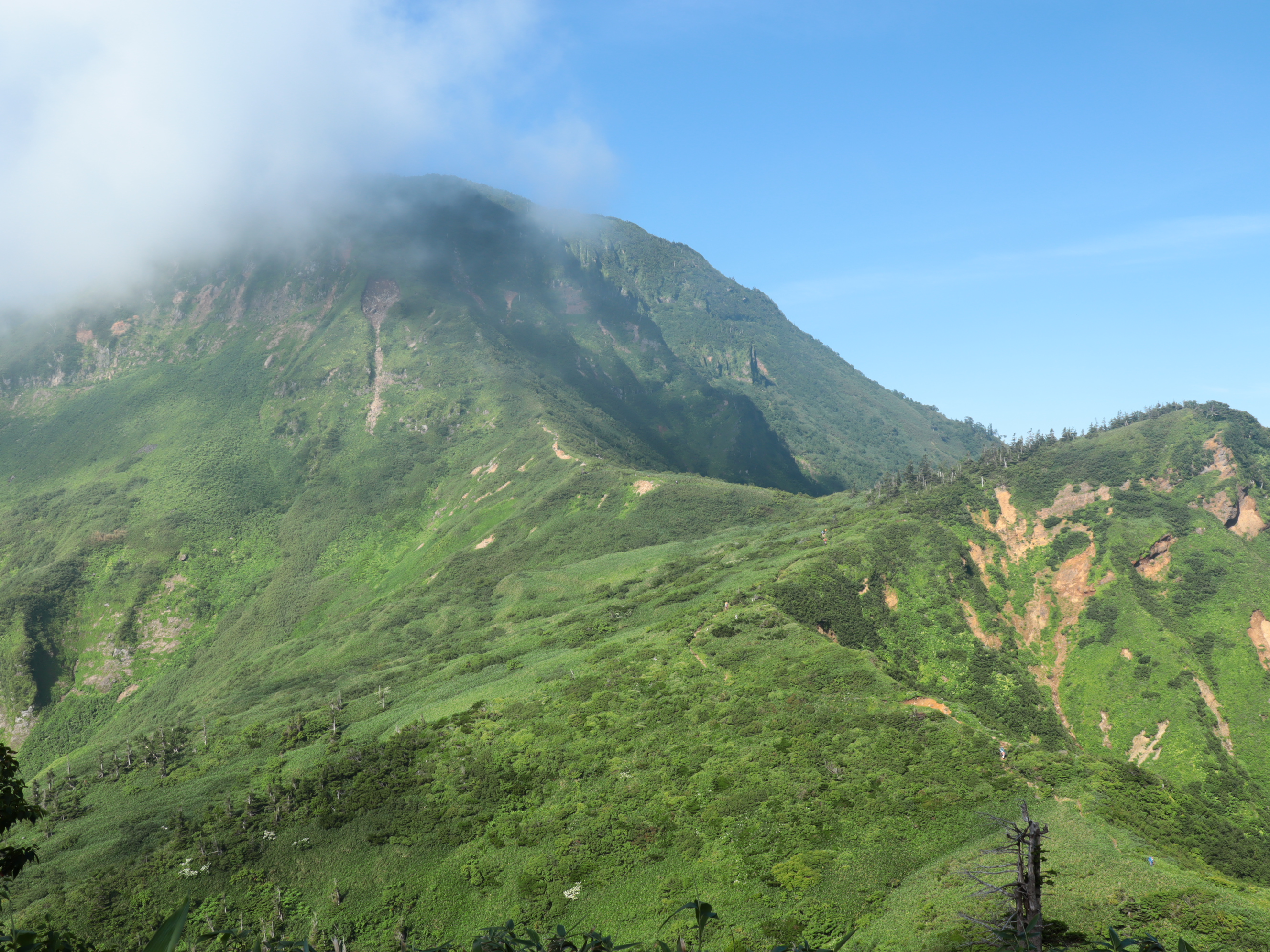 苗場山 広大な高層湿原と見事なお花畑 日本百名山 ざどじぃさんの苗場山 赤倉山 佐武流山の活動データ Yamap ヤマップ