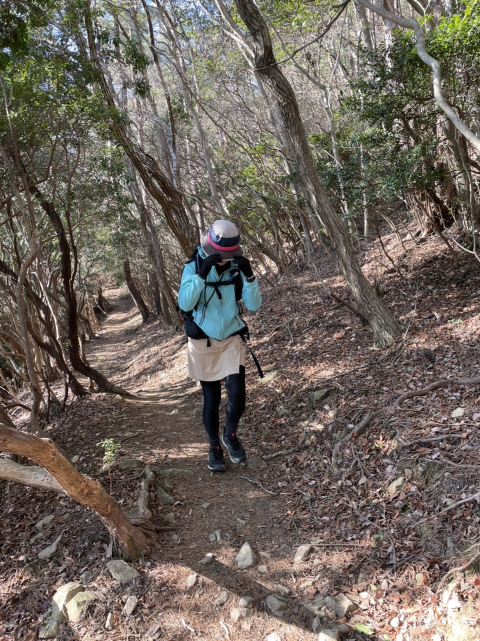 東六甲縦走路を行き来 譲葉山 岩倉山 大平山 水無山 たかさんの六甲山 長峰山 摩耶山の活動データ Yamap ヤマップ