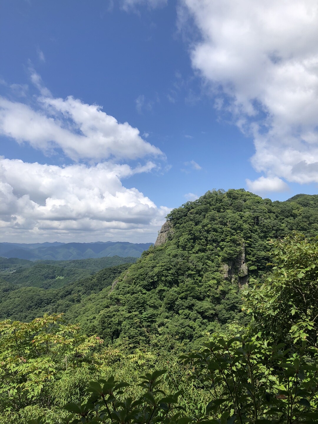篭岩山・篭岩 / Yasさんの奥久慈男体山・月居山・篭岩（篭岩山）の活動データ | YAMAP / ヤマップ
