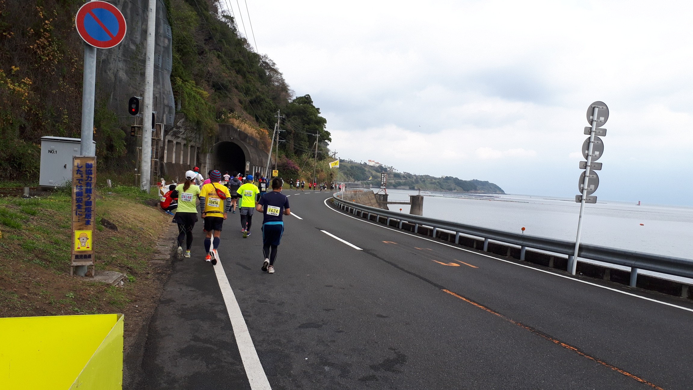 いぶすき菜の花マラソン 01 12 なおきさんのいぶすき菜の花マラソンの活動データ Yamap ヤマップ